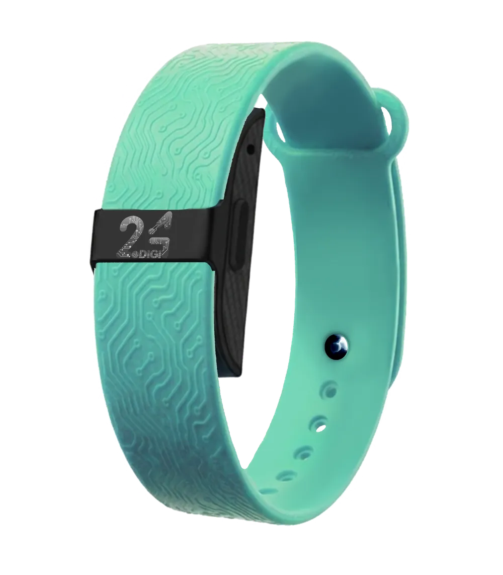 24DIGI bracelet — Onyx